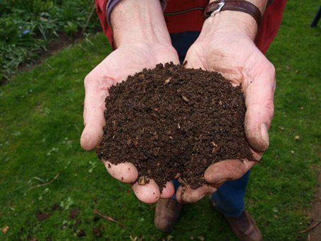 What is Compost