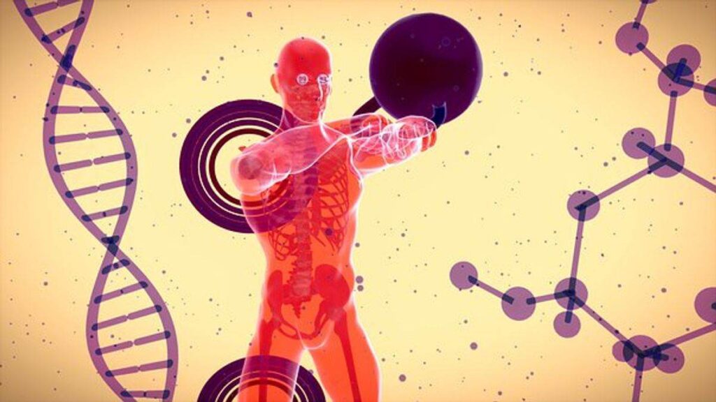 A Healthy Immune System