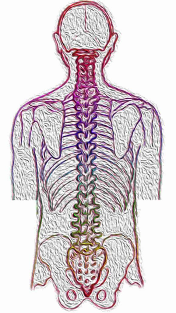 What Is the Cause of Scoliosis