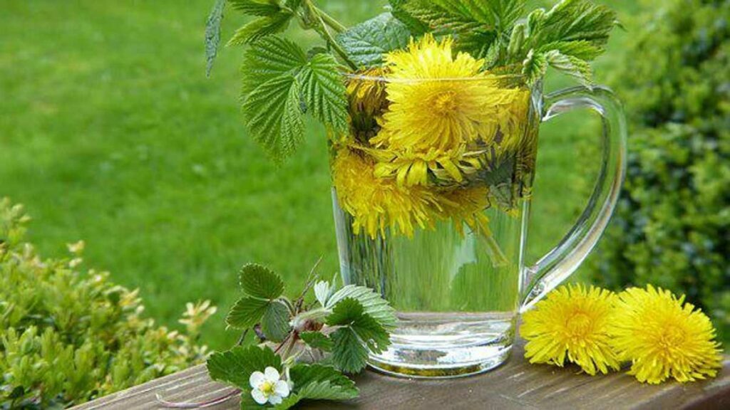 Alternative Cancer Cures