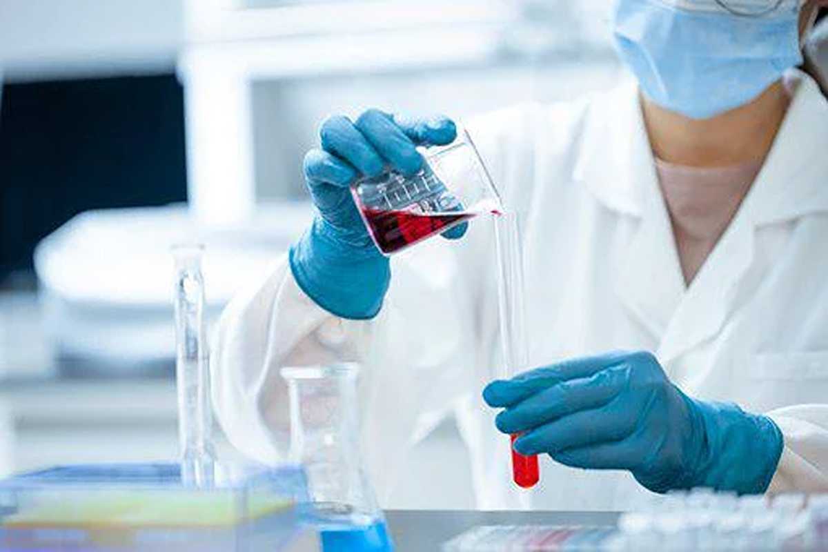 Candida or Chronic Fungal Infections