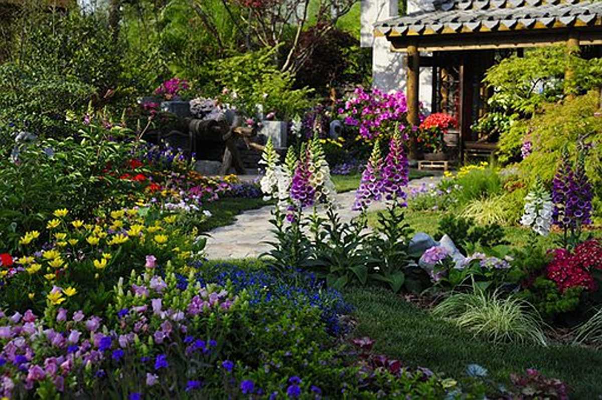 How to Establish Urban Gardens