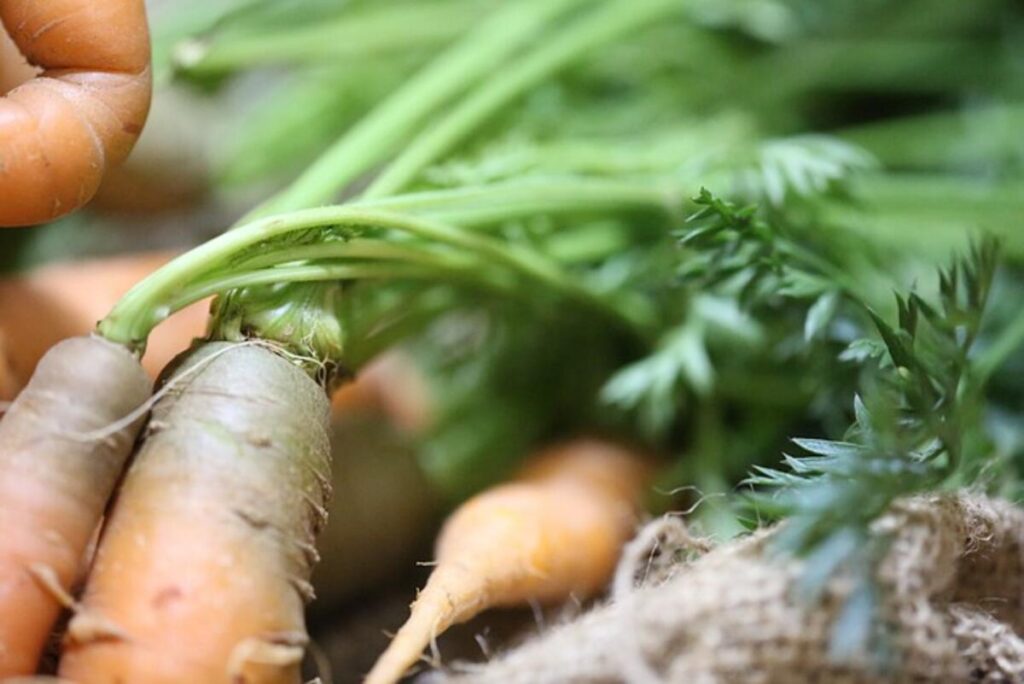 Vitamin A and Beta Carotene
