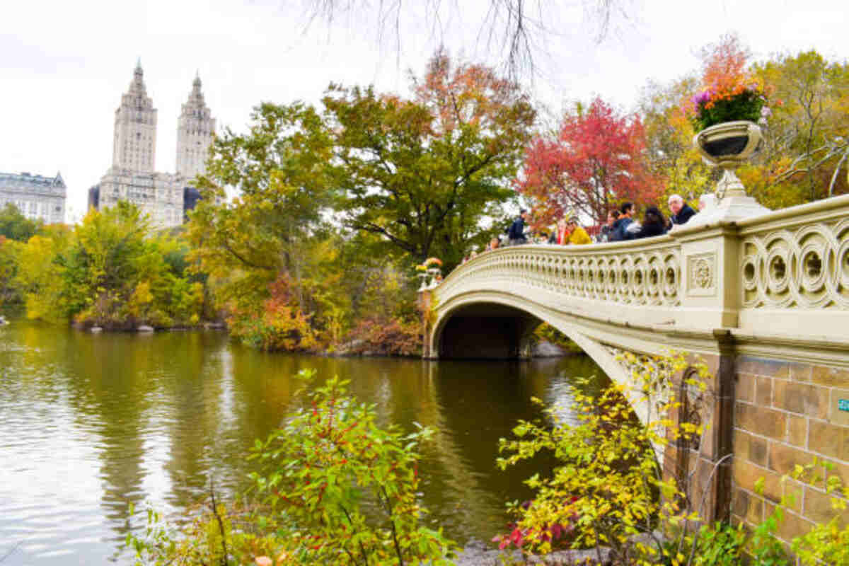 Fall Things to Do Near Me in New York