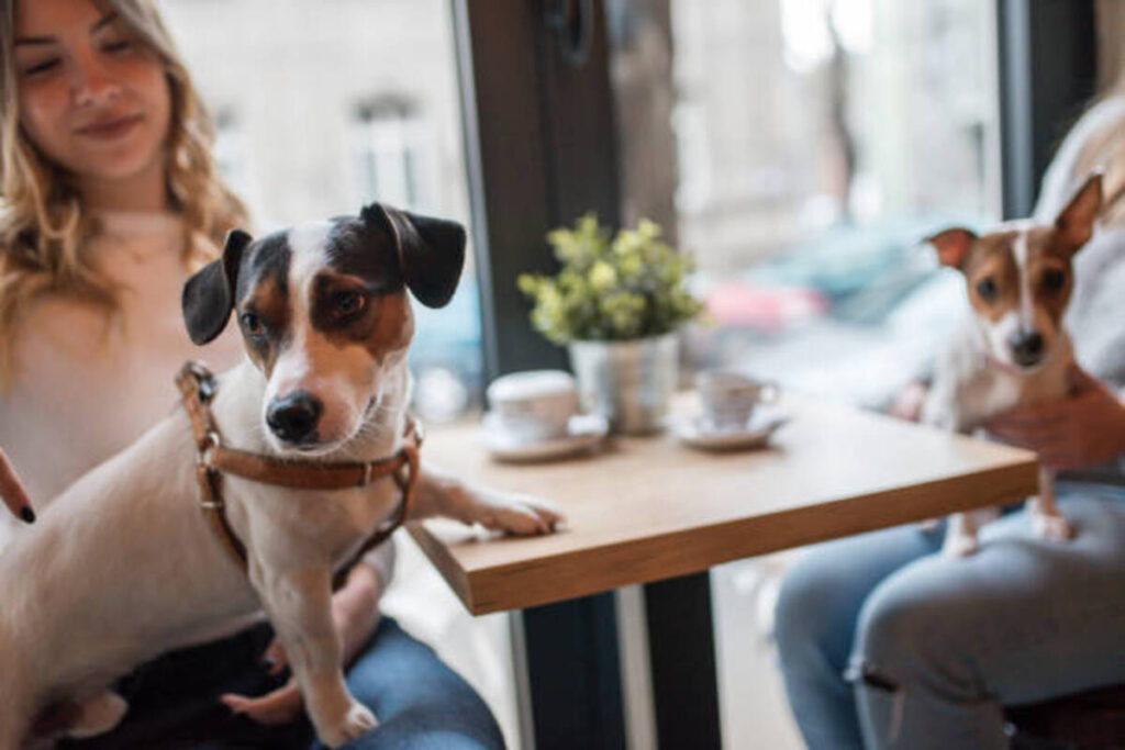 Dog Friendly Coffee Shops Near Me in New York