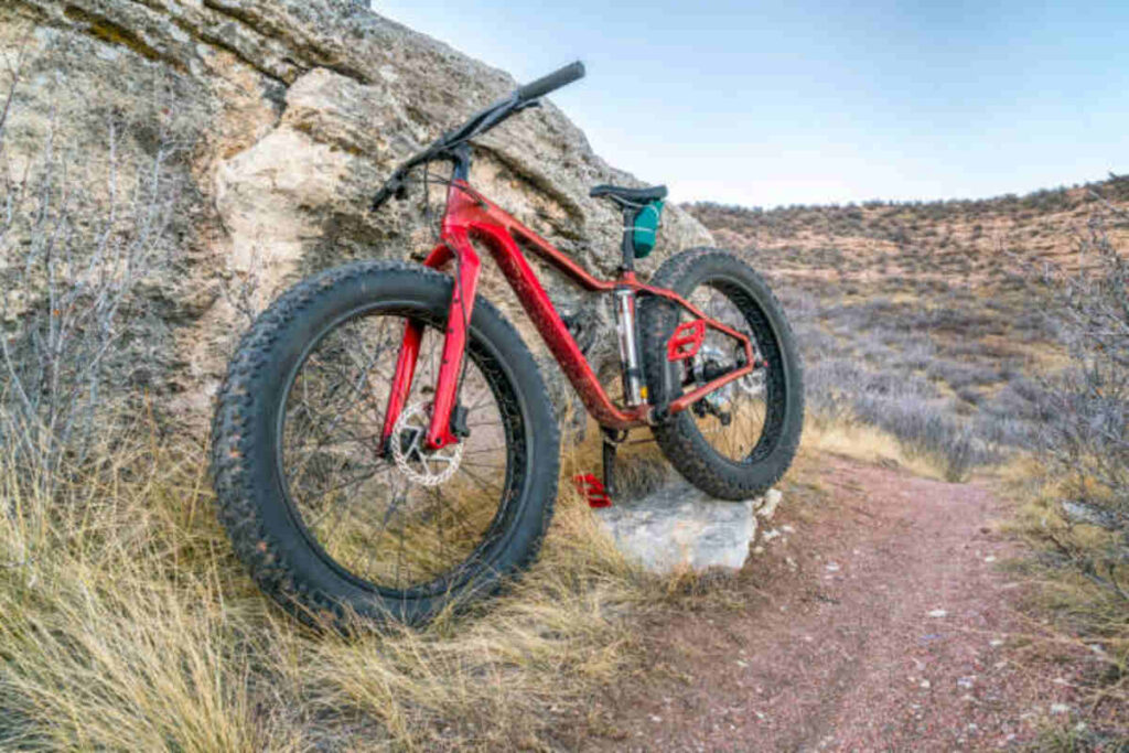 Rocky Mountain Bike Rack