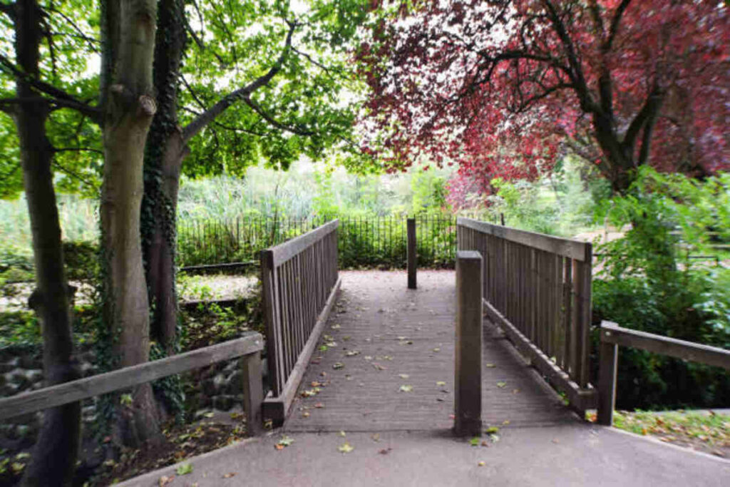 Alden Bridge Parks and Recreation