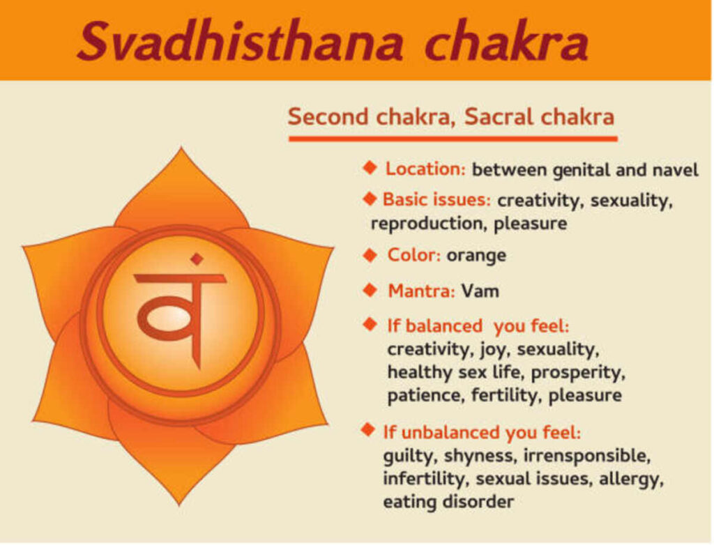 Learn Astrology in Telugu